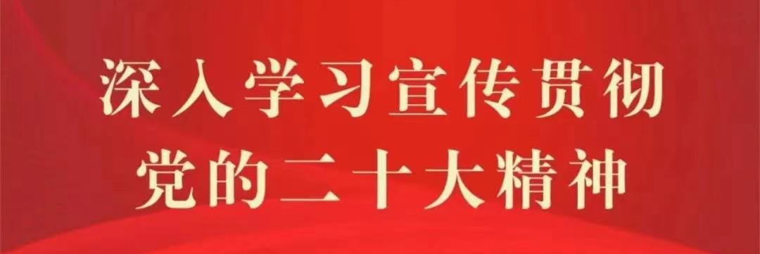 深入学习宣传贯彻党的二十大精神