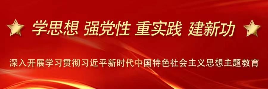 学思想 强党性 重实践 建新功 深入开展学习贯彻习近平新时代中国特色社会主义思想主题教育