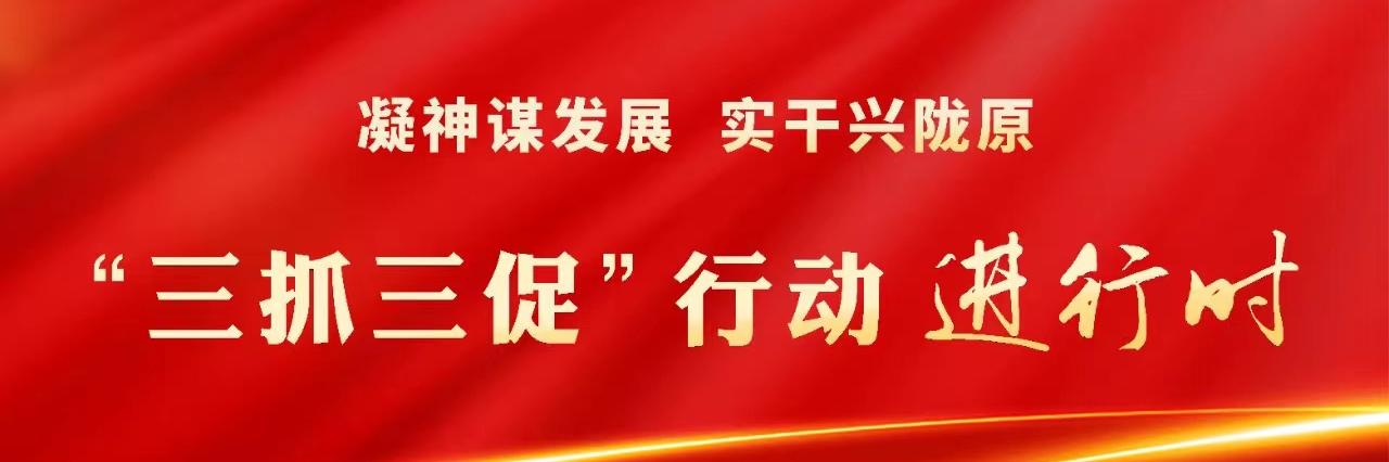 凝神谋发展 实干兴陇原 “三抓三促”行动进行时