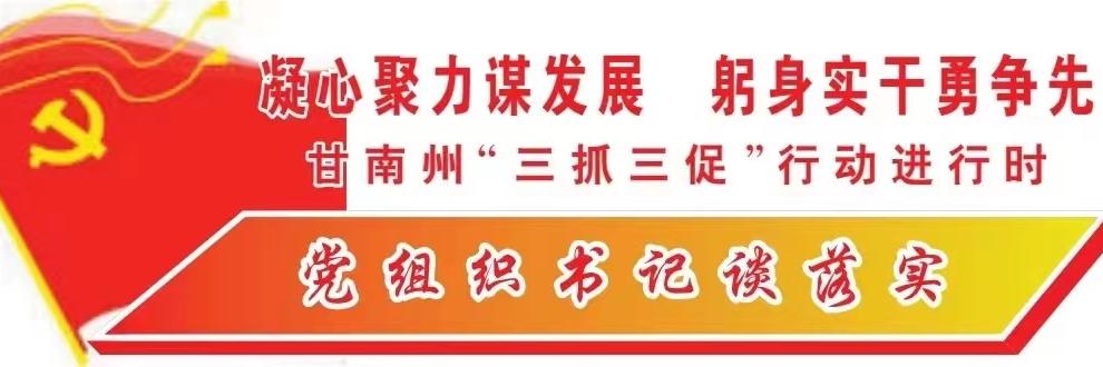 党组织书记谈落实