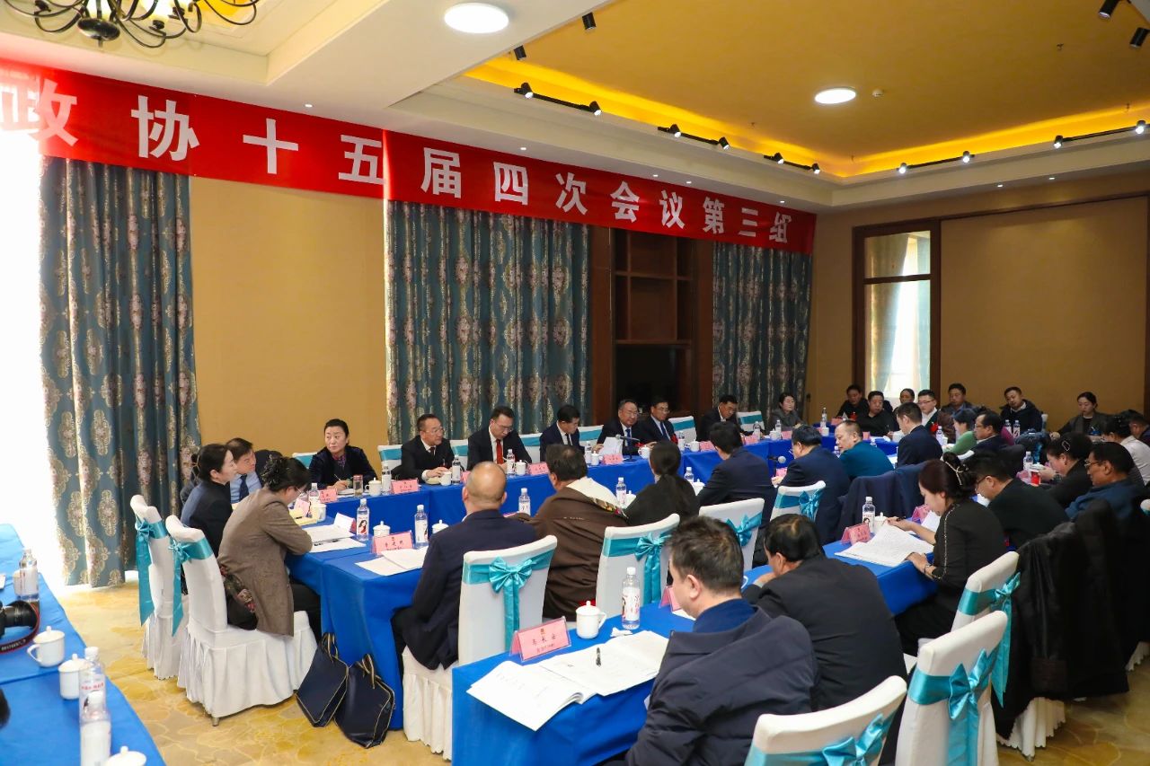 何谋保参加州政协十五届四次会议医药卫生、农牧业、台胞台属藏胞界别分组讨论